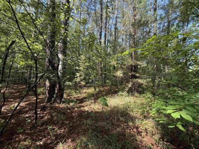 TBD CR 4194 Tract 1-3, Henderson, 德克薩斯州 75654, 美國