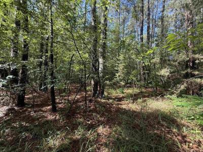 TBD CR 4194 Tract 1-3, Henderson, 德克薩斯州 75654, 美國