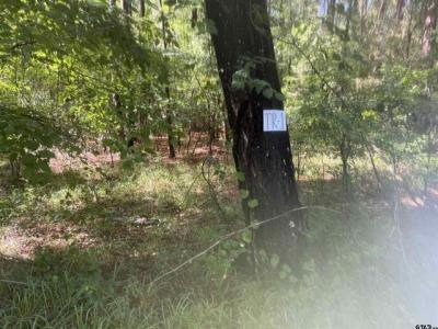 TBD CR 4194 Tract 1-3, Henderson, 德克薩斯州 75654, 美國