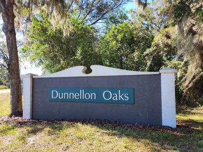 TBD SW 175 Ct, Dunnellon, Florida 34432, USA