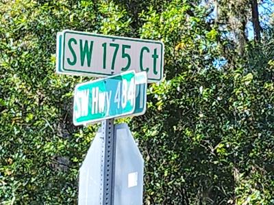 TBD SW 175 Ct, Dunnellon, Florida 34432, Stati Uniti