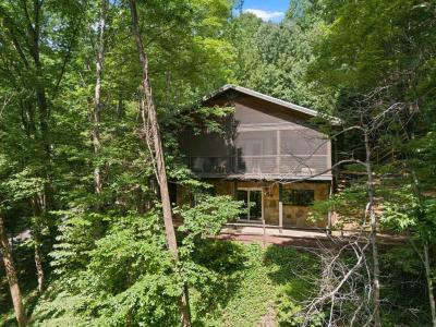 56 Cardinal Circle, Tryon, North Carolina 28782