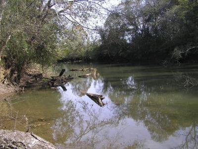 975 S Magnolia Street, Whitwell, Tennessee 37397, Amerika Birleşik Devletleri