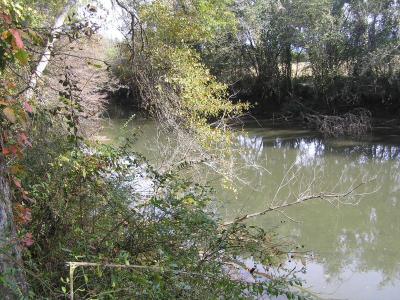 975 S Magnolia Street, Whitwell, Tennessee 37397, Amerika Birleşik Devletleri