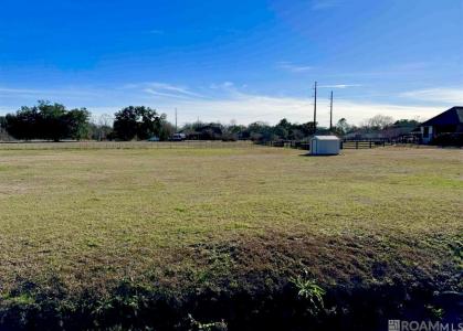 16424 Ronnie Rd, Prairieville, ルイジアナ 70769, アメリカ合衆国