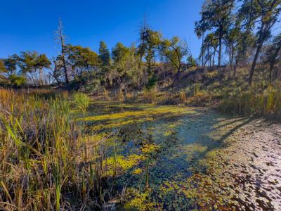 9501 Big John Road, Willits, California 95490, USA