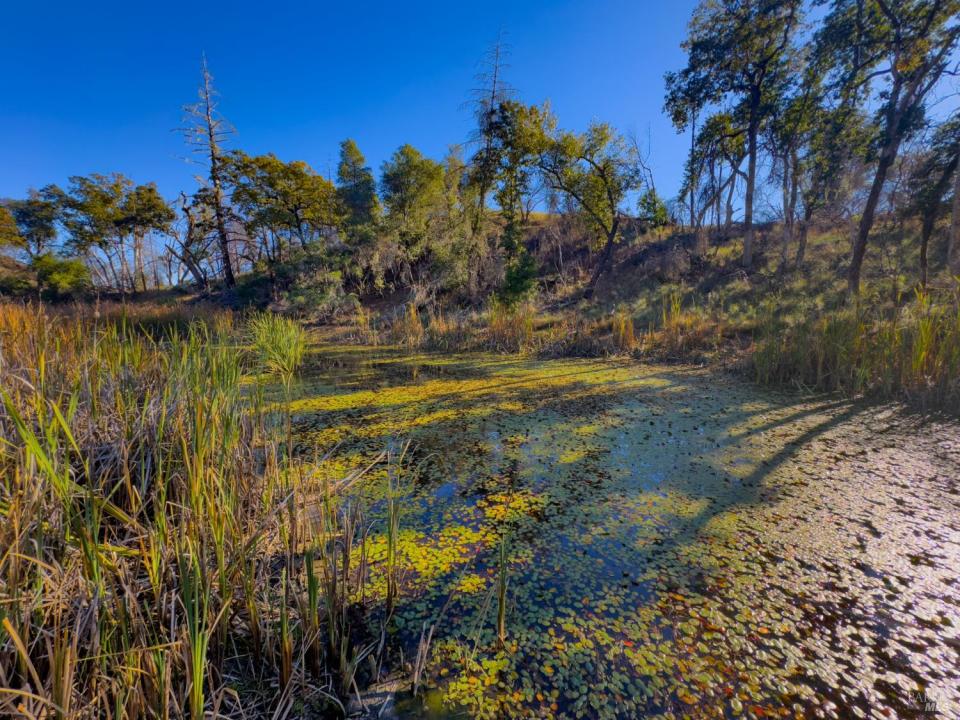 9501 Big John Road, Willits, California 95490