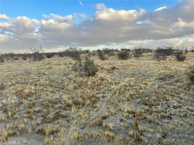 0 El Evado, Victorville, 加州 92394, 美國