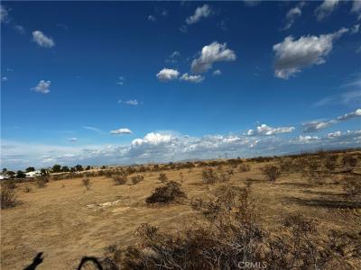 0 El Evado, Victorville, 加州 92394, 美國