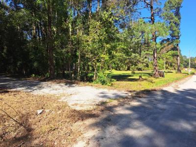 TBD Southfork Rd., Green Sea, Caroline Du Sud 29545, États-Unis