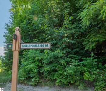 Lot 165 Forest Highlands, Bellaire, 미시건 49615, 미국