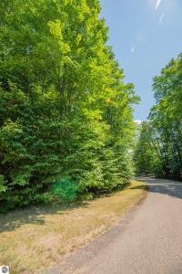 Lot 165 Forest Highlands, Bellaire, מישיגן 49615, ארצות הברית של אמריקה 
