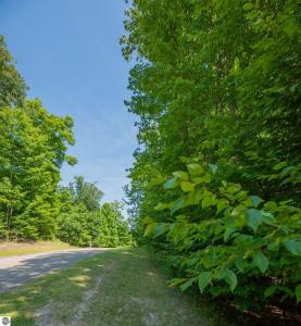 Lot 165 Forest Highlands, Bellaire, מישיגן 49615, ארצות הברית של אמריקה 