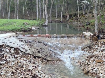 TBD County Road 5600, Salem, Missouri 65560, États-Unis