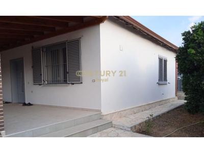 Lushnjë, Lushnje, 阿尔巴尼亚