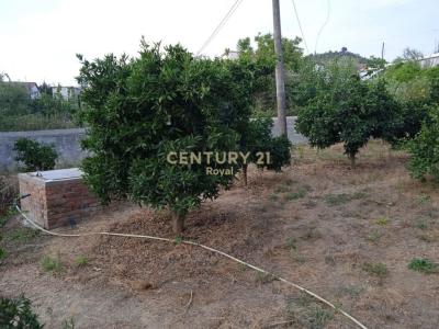 Lushnjë, Lushnje, אלבניה 