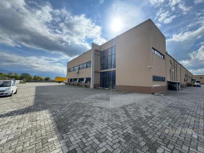 Berxullë, Tirana, Albania