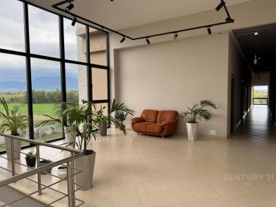 Berxullë, Tirana, Albania