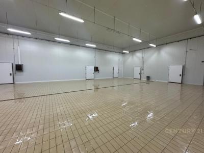 Berxullë, Tirana, Albania