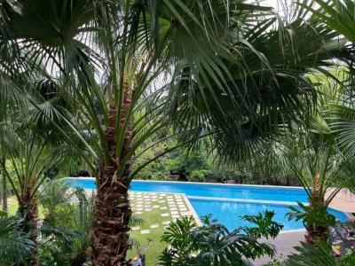 Brasil Santa Ana, San José 10701, 哥斯達尼加