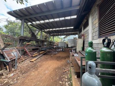 Santo Domingo Santo Domingo, エレディア 00001, コスタリカ