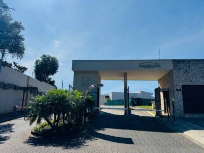 Central-Alajuela Central, Alajuela 00001, Costa Rica