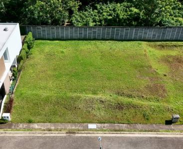 Central-Alajuela Central, Alajuela 00001, Costa Rica