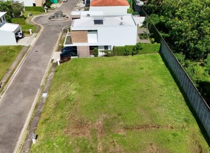 Central-Alajuela Central, Alajuela 00001, Costa Rica