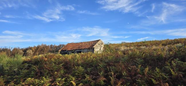 Baião, Porto 4640-248, Portogallo
