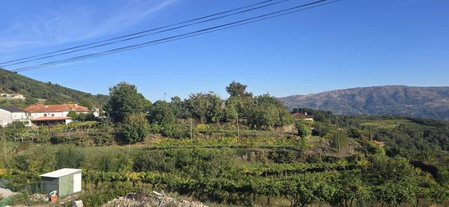 Baião, Porto 4640-235, Portogallo