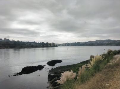 Vila Nova De Gaia, Porto 4430-498, Portugalia