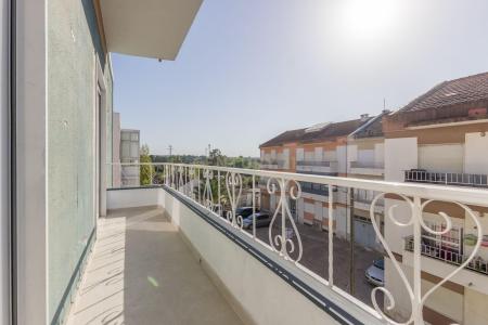 Moita, Setubal 2860-078, Portogallo