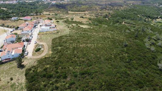 Cascais, ליסבון 2755-125, פורטוגל