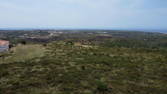 Cascais, ליסבון 2755-125, פורטוגל