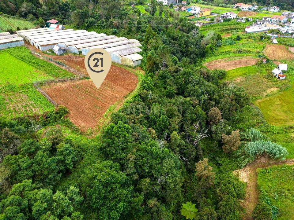 Santana, מדיירה 9230-097, פורטוגל 