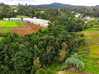 Santana, מדיירה 9230-097, פורטוגל 