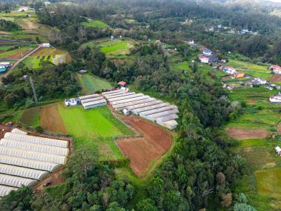 Santana, מדיירה 9230-097, פורטוגל 