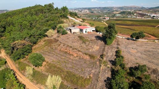 Torres Vedras, Lisboa 2665-001, Portugal
