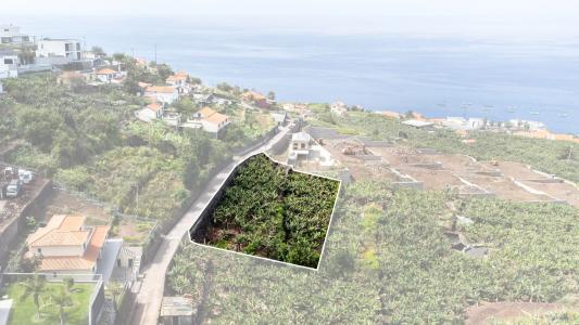 Calheta, Madera 9370-027, Portugalia