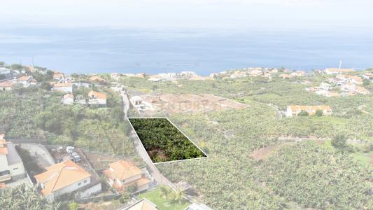 Calheta, Madera 9370-027, Portugalia