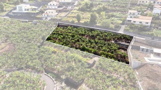 Calheta, Madera 9370-027, Portugalia