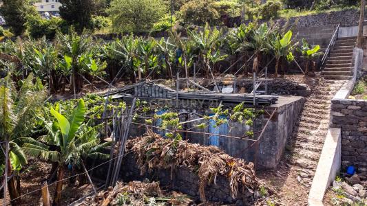 Calheta, Madera 9370-027, Portugalia