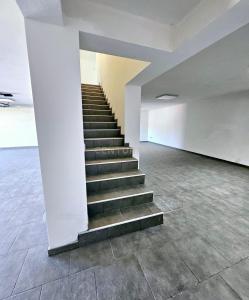 Anadia, Aveiro 3780-453, Portugal