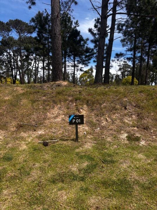 Avenida Al Paso de la Cadena 0, Punta Del Este, Maldonado 00001, Uruguay