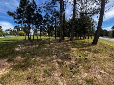 Avenida Al Paso de la Cadena 0, Punta Del Este, Maldonado 00001, Uruguay