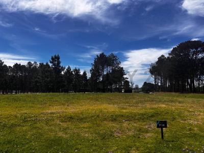 Avenida Al Paso de la Cadena 0, Punta Del Este, Maldonado 00001, Uruguay