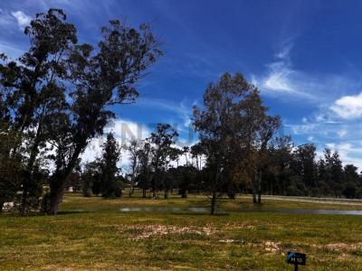 Avenida Al Paso de la Cadena 0, Punta Del Este, Maldonado 00001, Uruguay