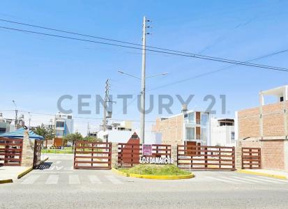 Urb. Los Damascos , Tacna, Tacna 00001, Peru
