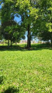 Calle 3 , Doctor Juan Manuel Frutos, Caaguazú 00001, Paraguai