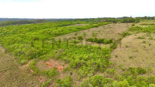 Caaguazú, Caaguazú 00001, Paraguay